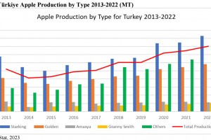  Zbiory poszczególnych odmiana jabłoni w tureckich sadach