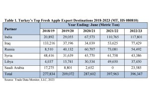  Eksport tureckich jabłek 