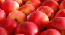 Ceny jabłek deserowych w UE – listopad 2023