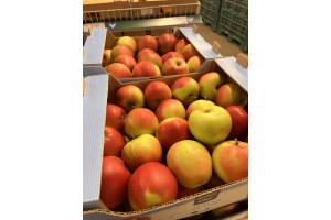  Ceny jabłek (foto 3).