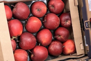  Ceny jabłek (foto 9).