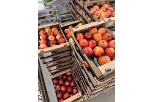  Ceny jabłek (foto 38).