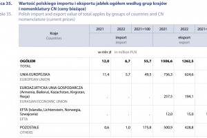  Wartość polskiego importu i eksportu jabłek ogółem według grup krajów
 i nomenklatury CN (ceny bieżące)