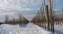 Najpierw śnieżyce później mróz. Temperatury spadną poniżej -20 st. C 