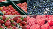 Sytuacja na rynku owoców nie jest kolorowa