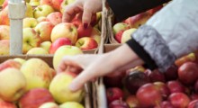 Agrobiznes: Ceny jabłek i gruszek wyższe niż przed rokiem 