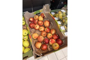  Jabłka Kujawskie w sieci sklepów Biedronka
