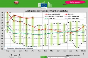  Ceny jabłek we Francji - grudzień 2023 