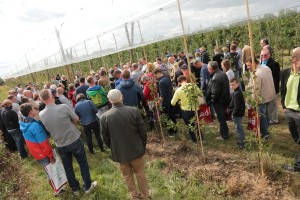 prezentacja doświadczeń w sadzie - mgr inż. Romuald Dziuban