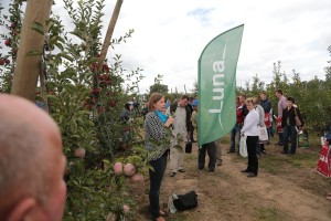 Prezentacja doświadczenia z preparatem Luna Experience 400 SC - BayerCropscience