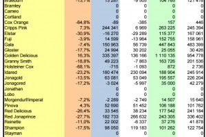  WAPA: Zapasy jabłek w Unii Europejskiej - odmiany - grudzień 2023 