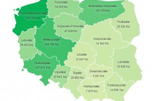  Rys. 1. Powierzchnia gruntów Zasobu WRSP pozostająca w dzierżawie wg stanu na 30 czerwca2023 r., wg województw (w ha)