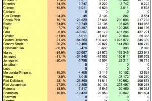  WAPA 1/2024: Zapasy jabłek w chłodniach w UE - odmiany