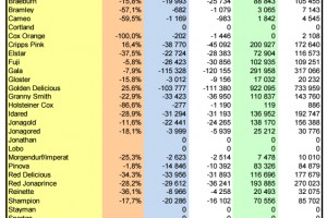  WAPA 2/2024: Zapasy jabłek w chłodniach UE - odmiany 