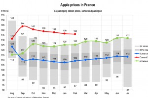  Ceny jabłek we Francji - luty 2024 