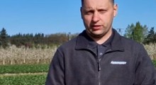 Komunikat jagodowy - truskawka - 11.04.2024 – Agrosimex