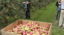 Wystarczą dwa lata, żeby odpadła polska branża sadownicza