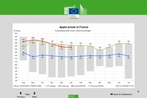  Ceny jabłek we Francji - styczeń 2025 roku