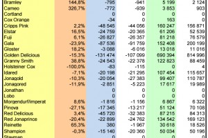  WAPA 3/2025: Zapasy jabłek w chłodniach w UE - odmiany 