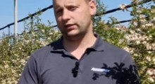 Komunikat jagodowy - borówka - 30.04 – Agrosimex