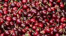 Ceny importowanych czereśni na Broniszach &ndash; 9 maja