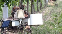 Przymrozki w sadach - 13.05.2025