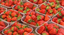 Ceny truskawek na rynkach hurtowych: 19 maj 2025