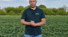 Komunikat jagodowy - truskawka - 20.05 – Agrosimex