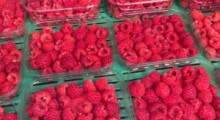 Ceny malin na rynkach hurtowych: 27 maj 2025 