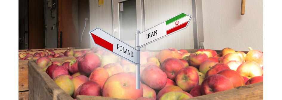 Iran chce jabłka - podpisane memorandum o współpracy 