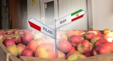 Iran chce jabłka - podpisane memorandum o współpracy 