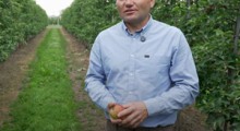 Jacek Prządak: Przyszłość jabłka