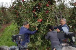 Janusz Piechociński podczas wizyty w gospodarstwie sadowniczym w Uleńcu (woj. mazowieckie