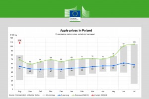 Ceny jabłek w Polsce - sierpień 2025