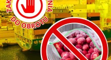 Kolejne egipskie mrożone truskawki wycofane z rynku ! 