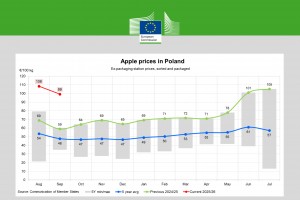  Ceny jabłek w Polsce - wrzesień 2025
