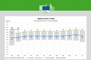 Ceny jabłek w3 Włoszech - wrzesień 2025