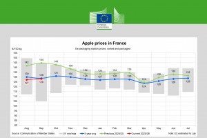  Ceny jabłek we Francji- wrzesień 2025