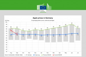  Ceny jabłek w Niemczech - wrzesień 2025