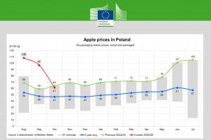  Ceny jabłek w Polsce - październik 2025