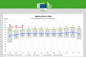  Ceny jabłek we Włoszech - październik 2025
