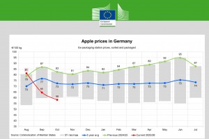  Ceny jabłek w Niemczech - październik 2025