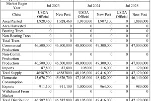  Chiny: Zbiory jabłek w 2025 roku