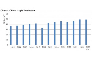  Chiny: Zbiory jabłek w 2025 roku