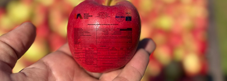 To proste. Jabłka bez pozostałości