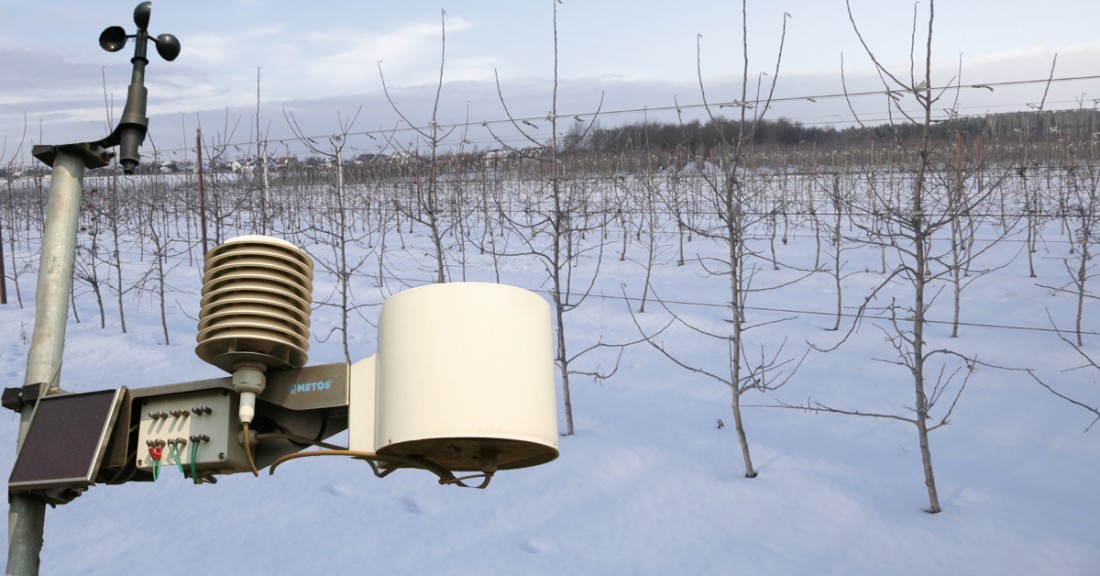 {Minimalne temperatury powietrza – 5.12.2026