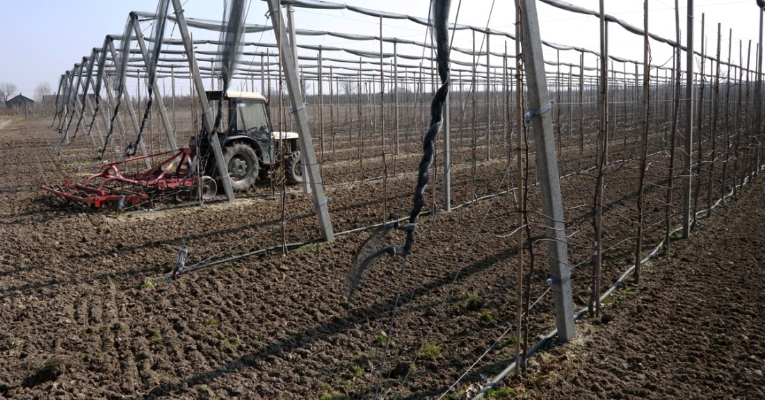 {Harmonogram naborów wniosków w 2026 roku