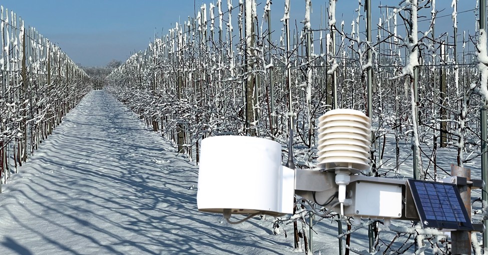 {Minimalne temperatury powietrza: 6.12.2026