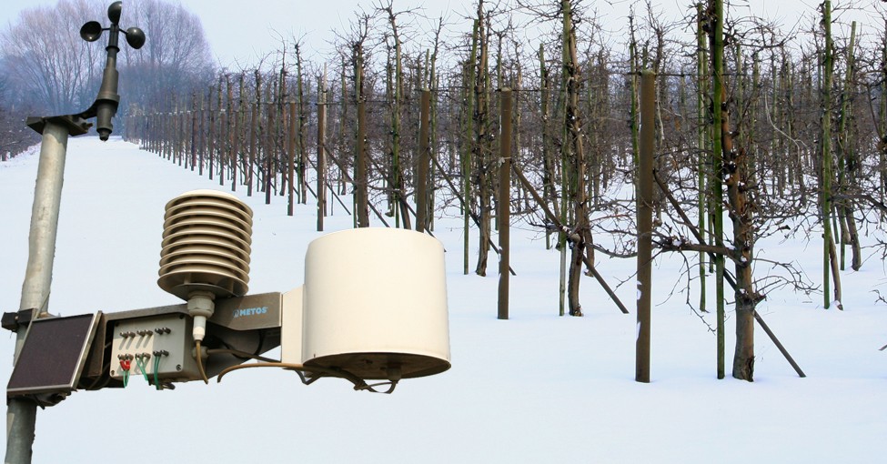 {Minimalne temperatury powietrza: 7.12.2026