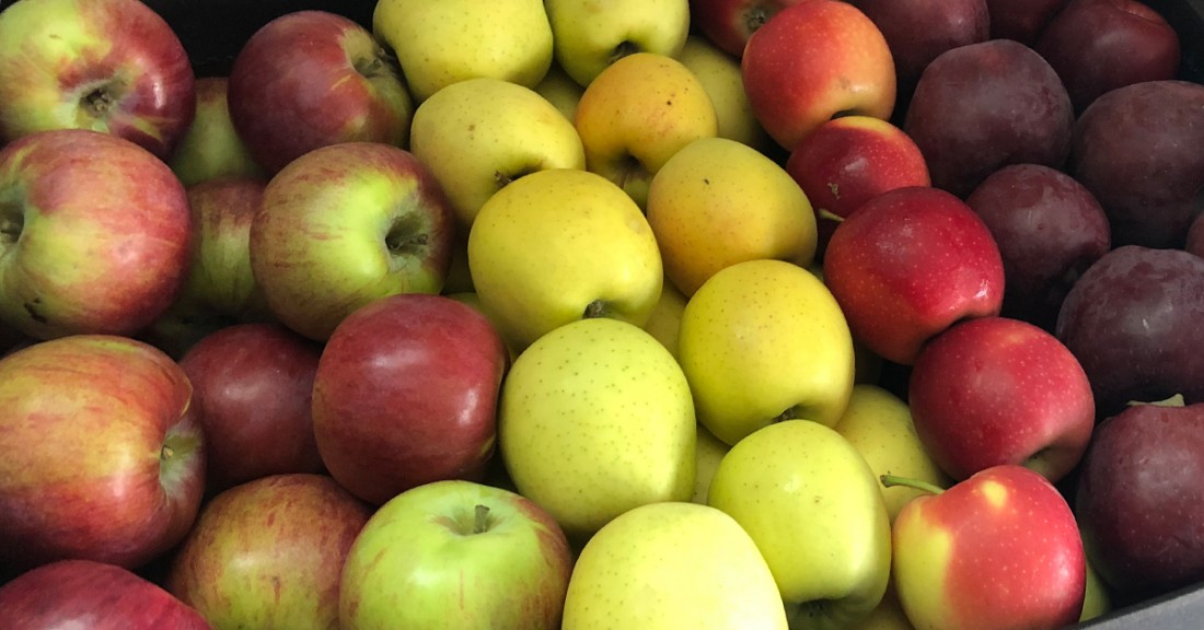 {Ceny jabłek na rynkach hurtowych: 7 stycznia 2026 roku
